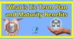 What is Lic Term Plan and Maturity Benefits