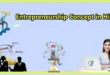 Entrepreneurship Concept in Hindi